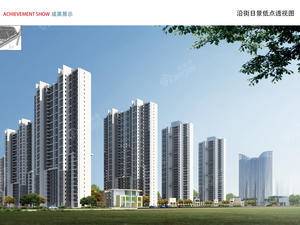云星·公园大第