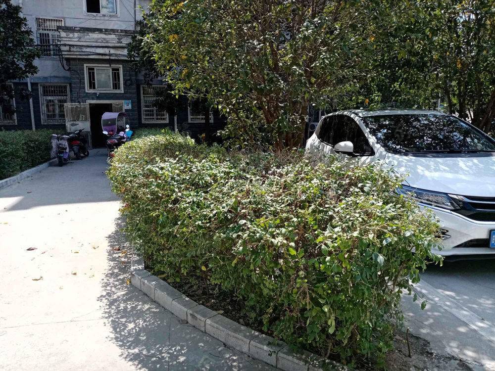 西城时代花园小区图片