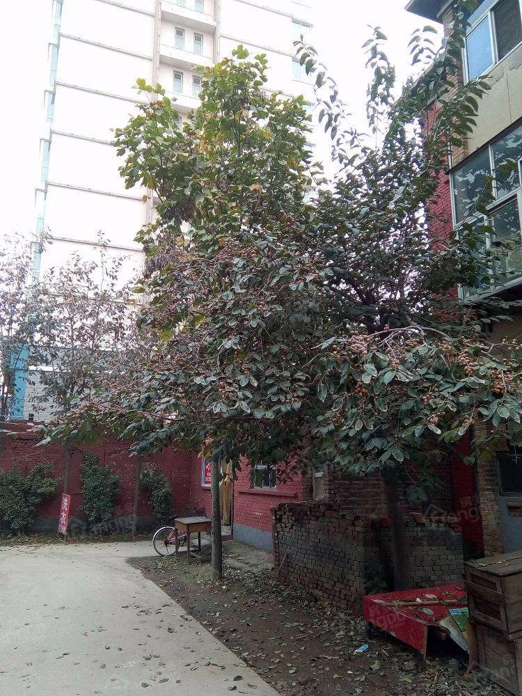 锅炉厂宿舍小区图片