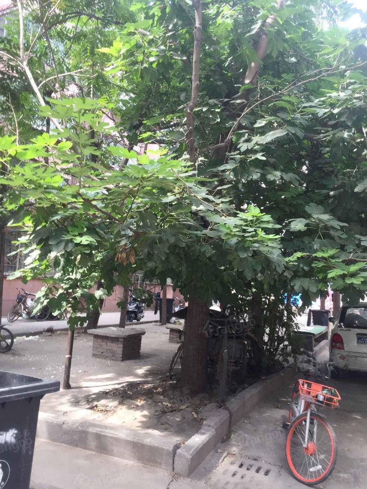 河一工家属院小区图片