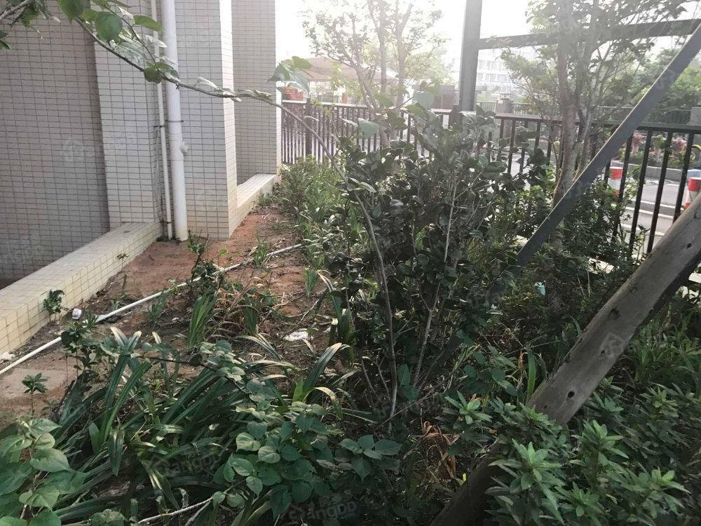 阳光里小区图片