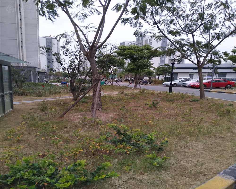 东庭苑小区小区图片