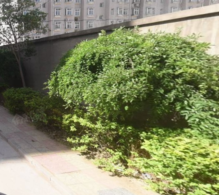 东古城新区小区图片