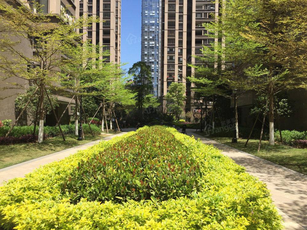 正荣财富中心小区图片