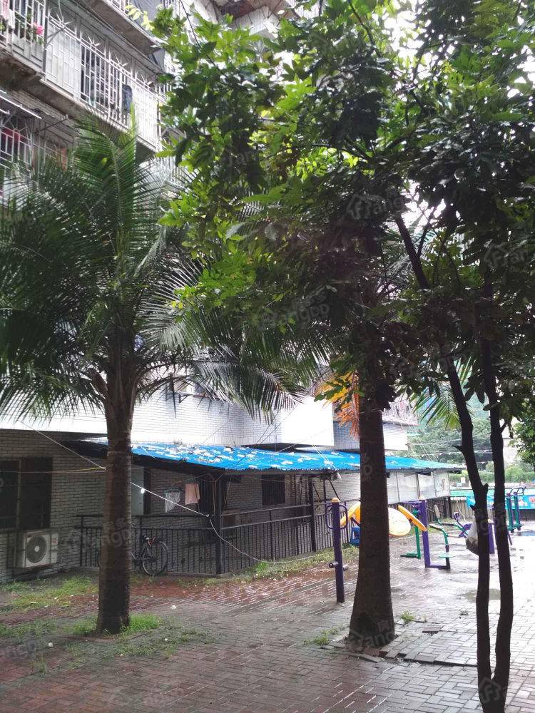 南洋新村小区图片