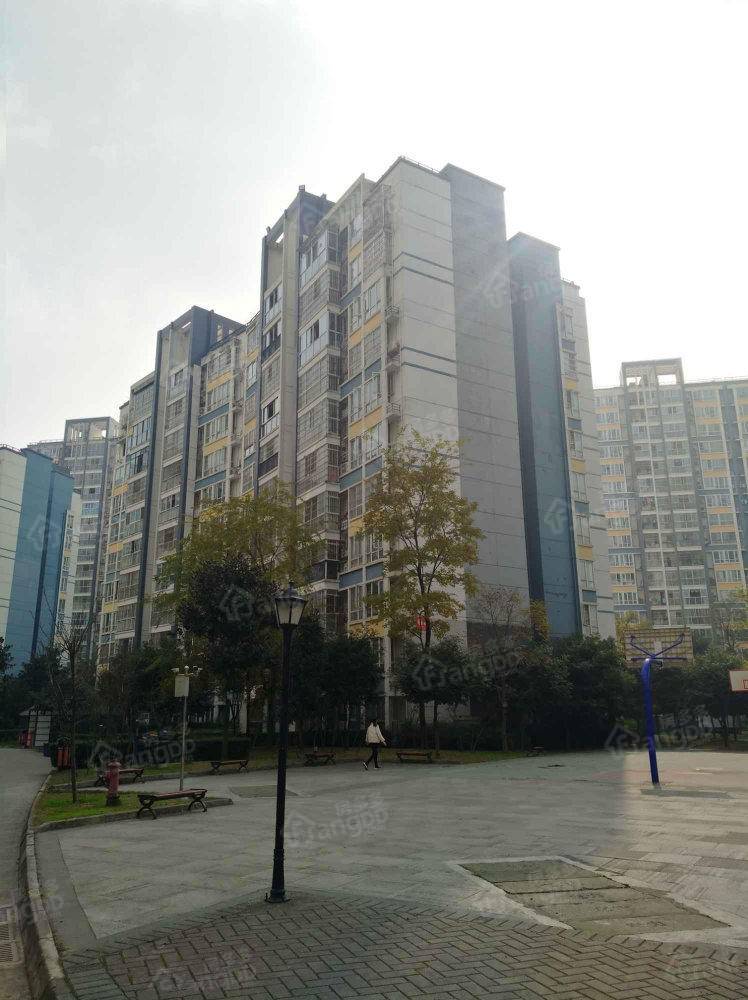 金河苑(双流)小区图片