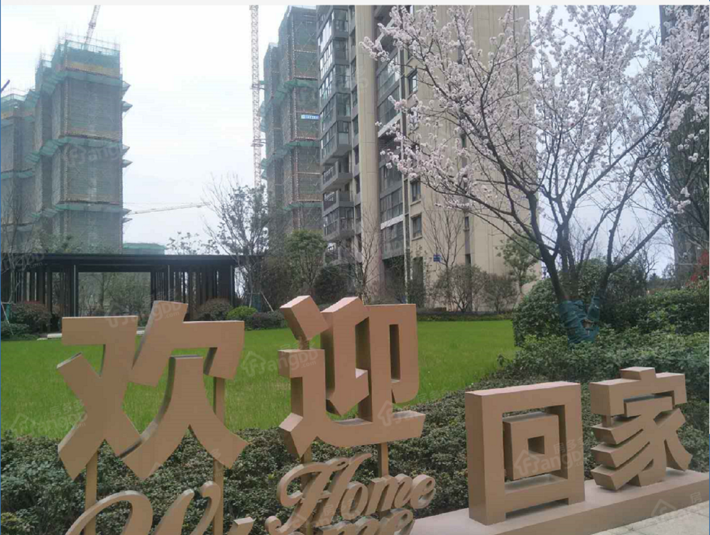 星河国际八区小区图片