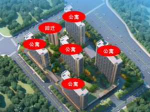 广源凤岭1号