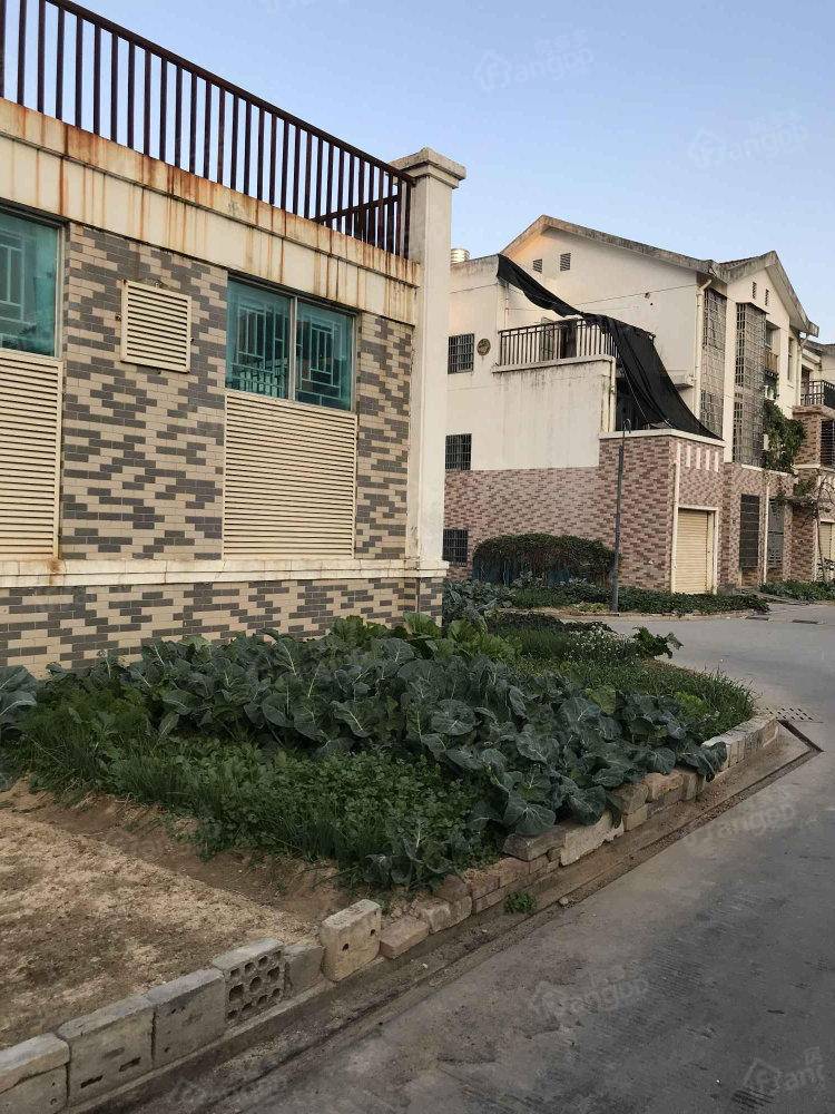 霞苑小区北二区小区图片