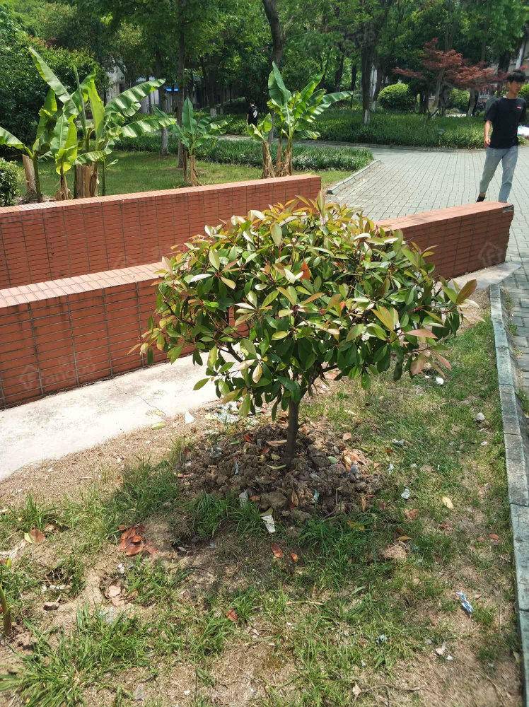 金鼎大厦小区图片