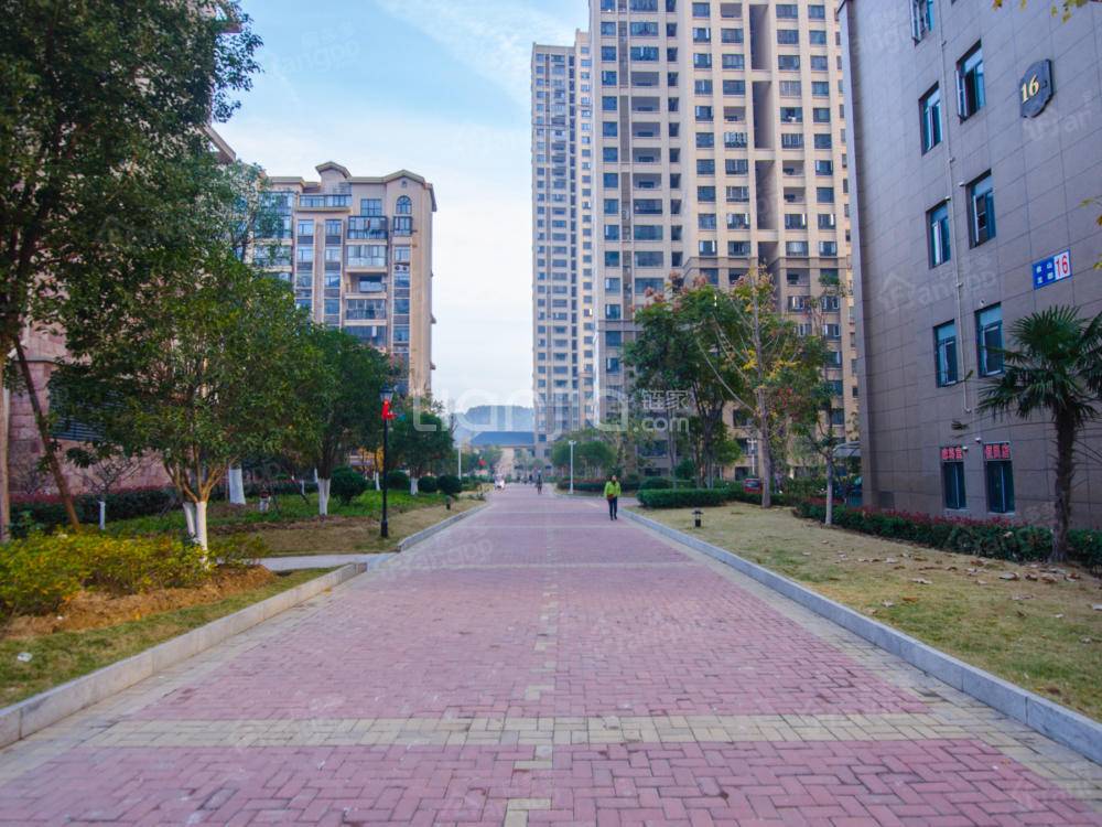 依山龙郡小区图片
