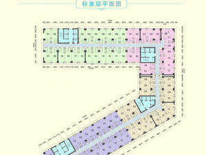 城市之光