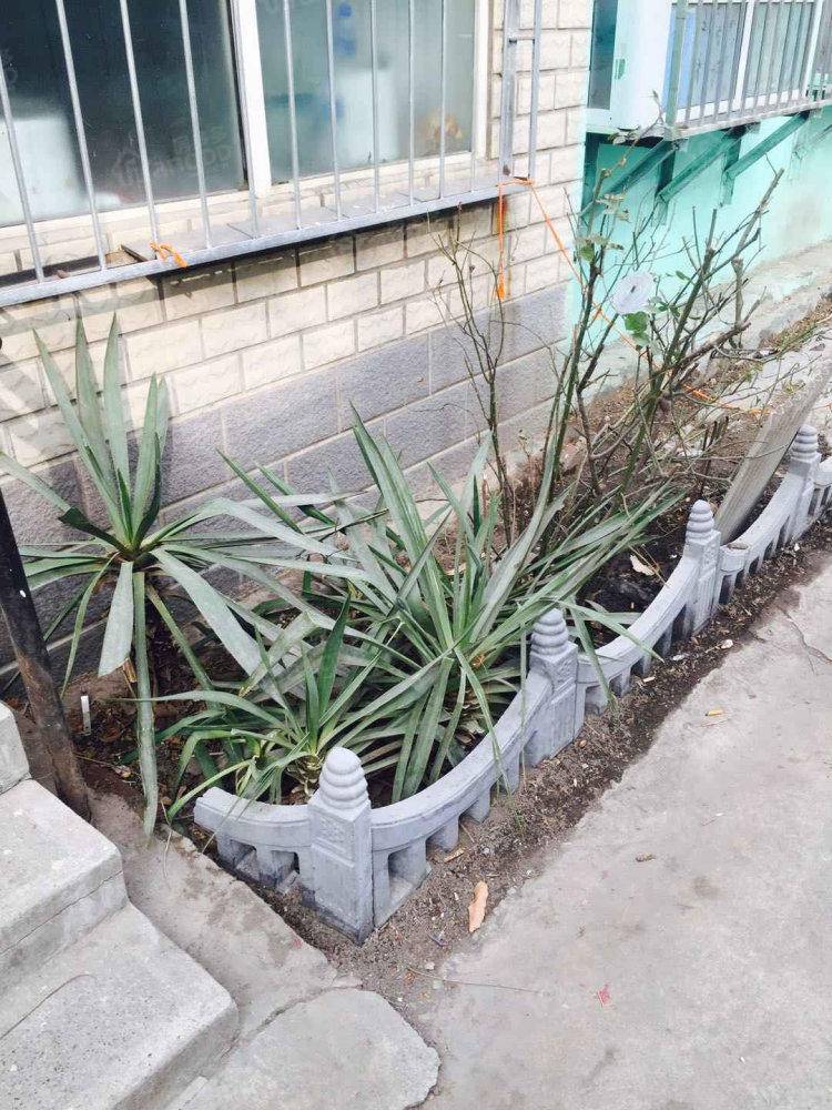 信用社家属楼小区图片