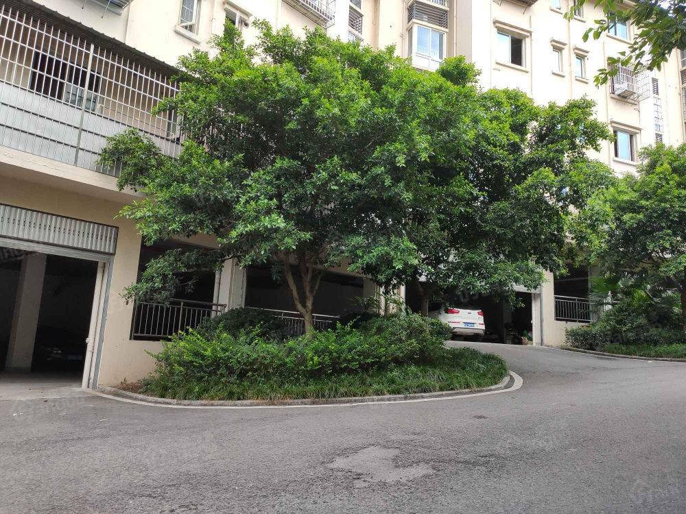 祥豪维多利亚港湾小区图片