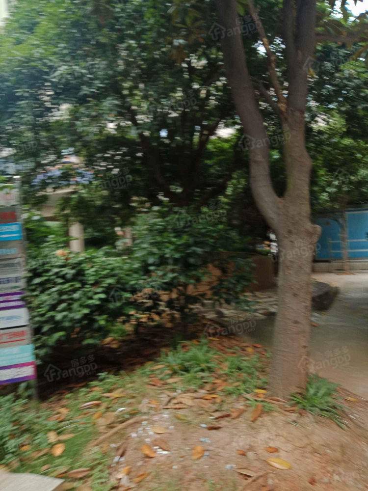顺枫苑图片