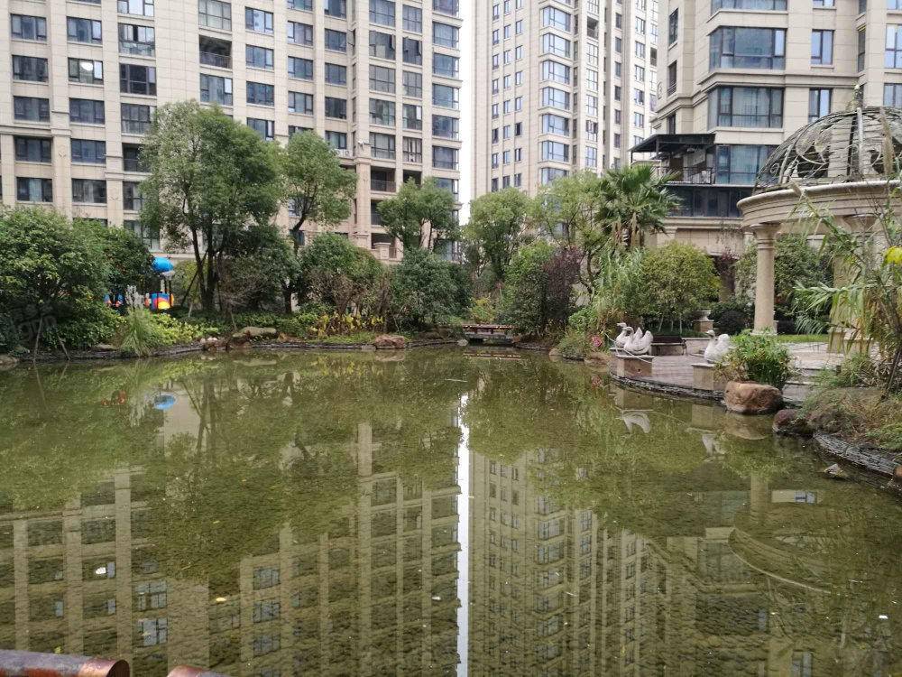 龙城公园1号小区图片