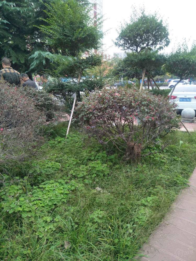 东津世纪城16区天境台小区图片