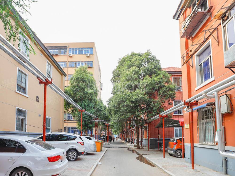 绿东村4号院小区图片