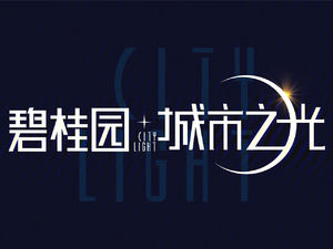 碧桂园城市之光