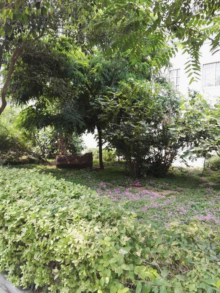 骆驼湾居住新区小区图片