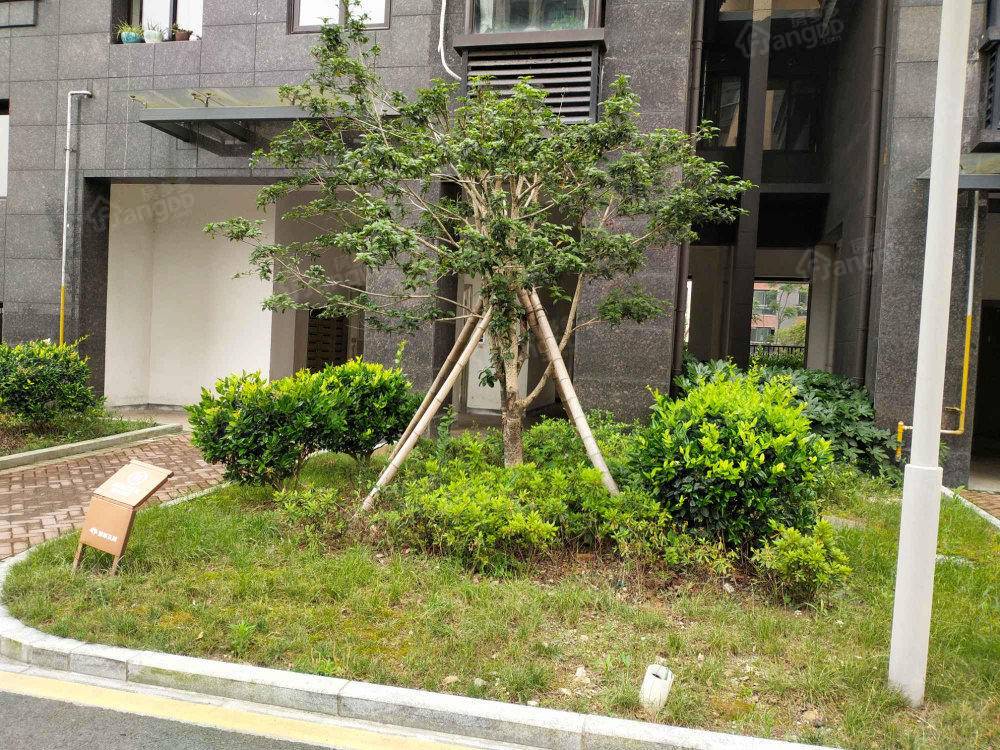 康丽花园小区图片
