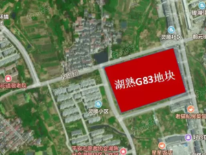 中锐星棠府