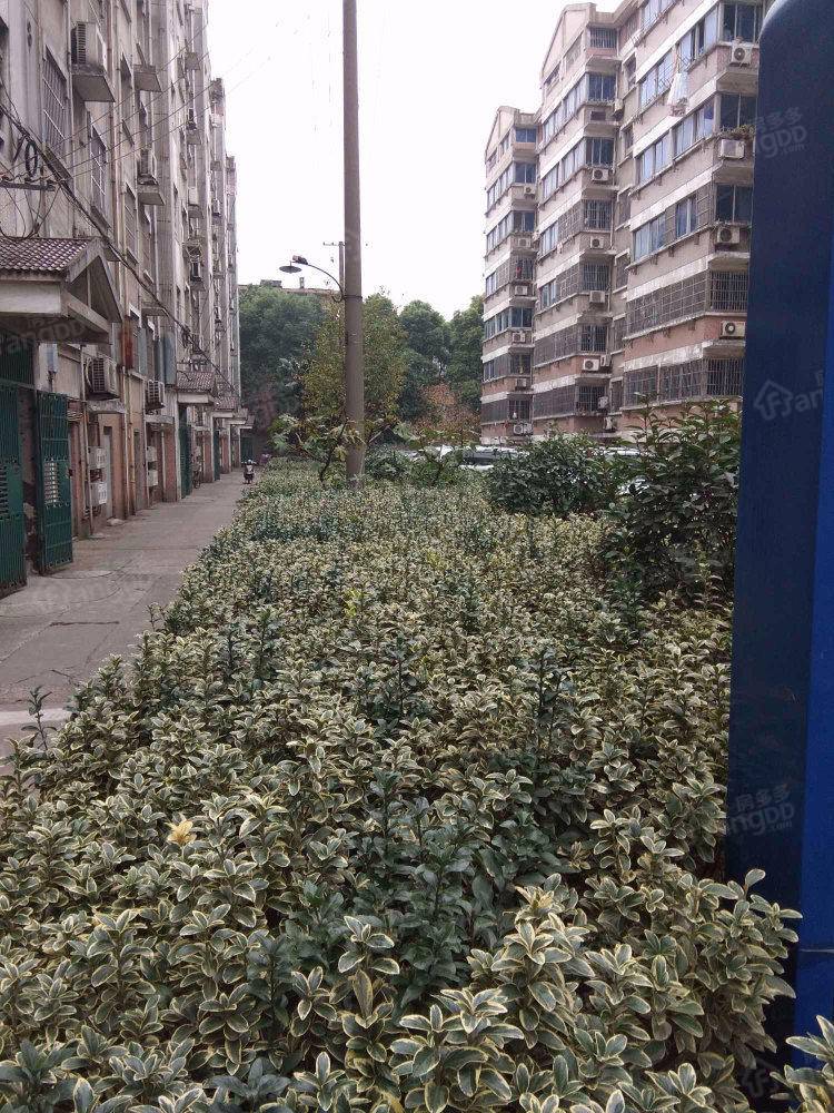 站北新村北区小区图片