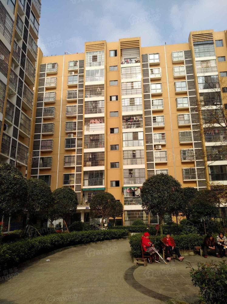 大雁新居小区图片