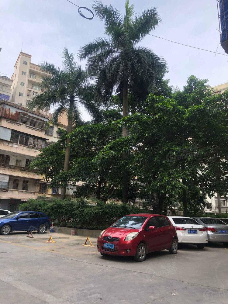 商业企业集团公司工农东宿舍区小区图片