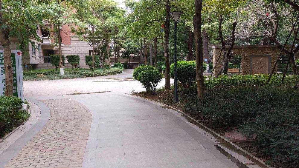 滨江国际小区图片