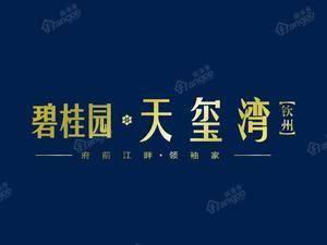 碧桂园·天玺湾(钦州)