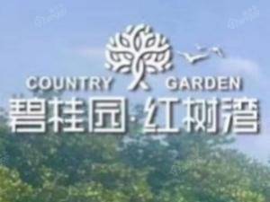 碧桂园红树湾