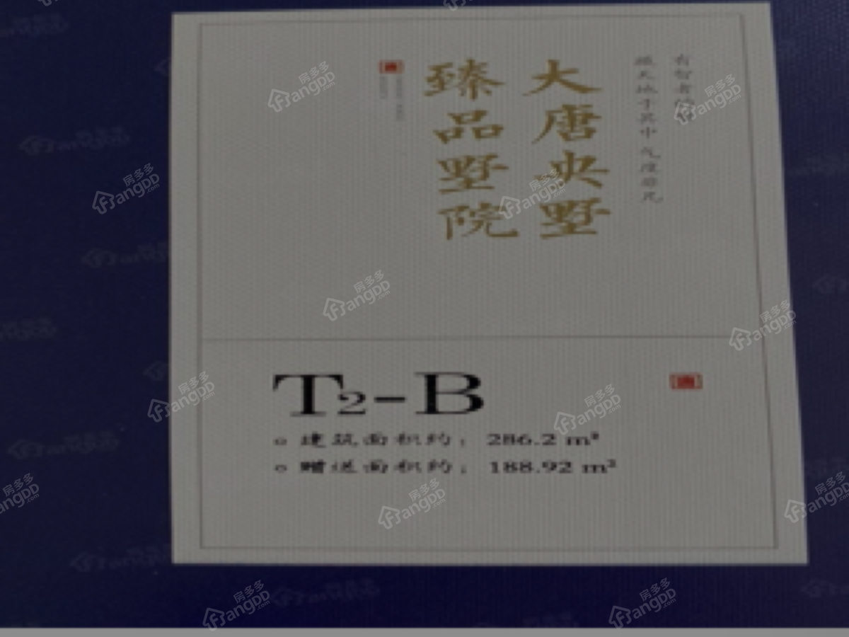 大唐印象_0