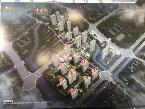 瑞安生态科学城金茂悦