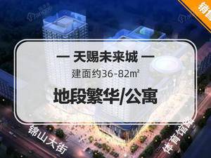 天赐·未来城