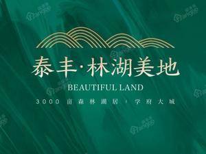泰丰·林湖美地
